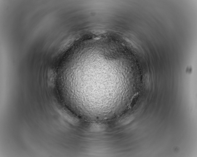 X0000093530234200710261258