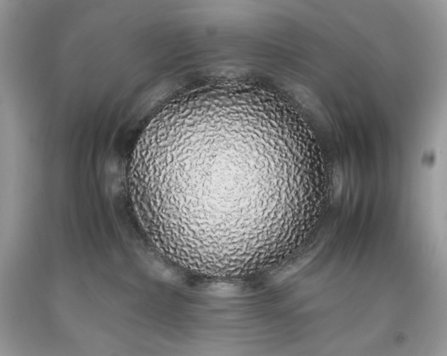 X0000093530236200710261258