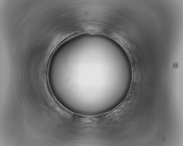 X0000093530241200710261258