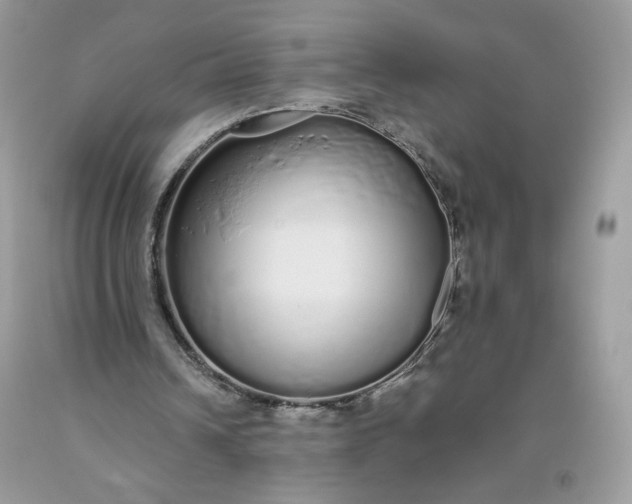 X0000093530242200710261258