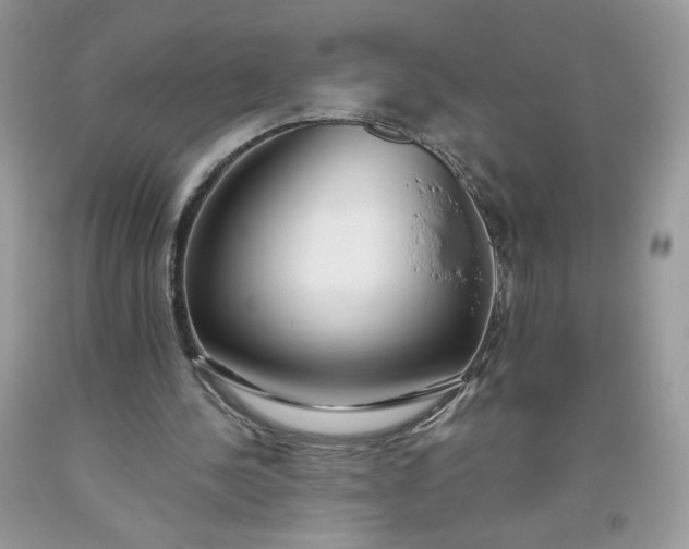 X0000093530244200710261258