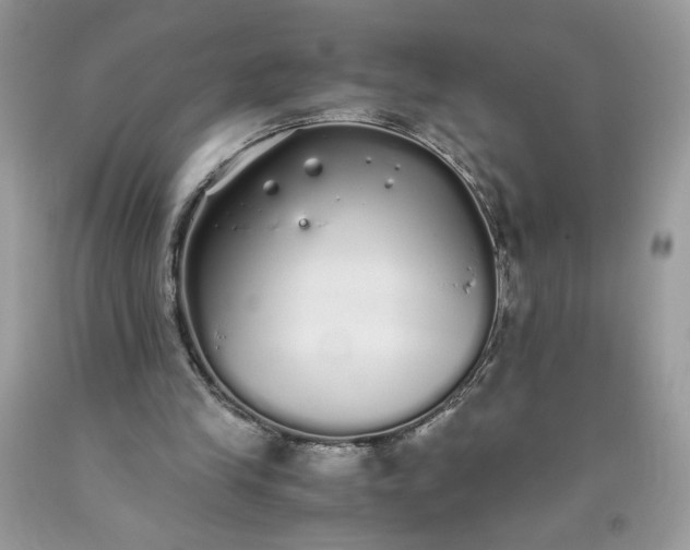 X0000093530245200710261258