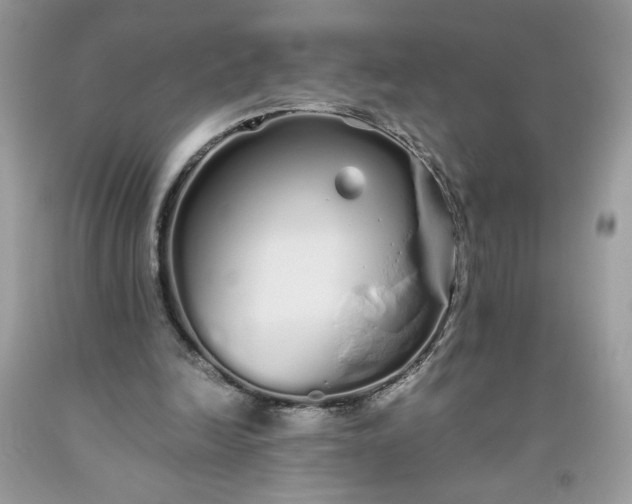 X0000093530246200710261258