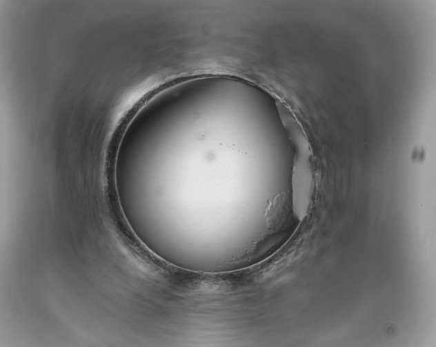 X0000093530248200710261258