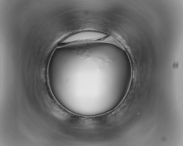 X0000093530249200710261258