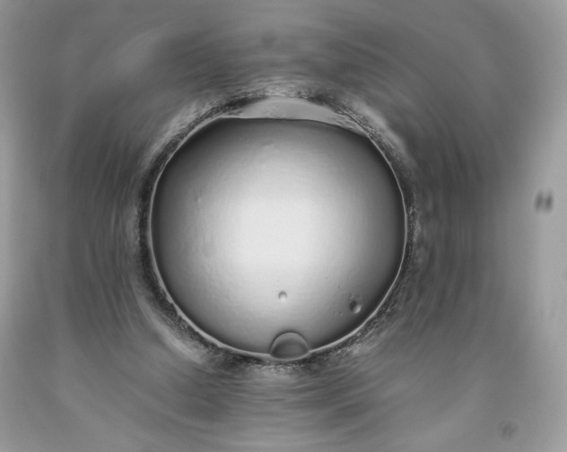 X0000093530250200710261258