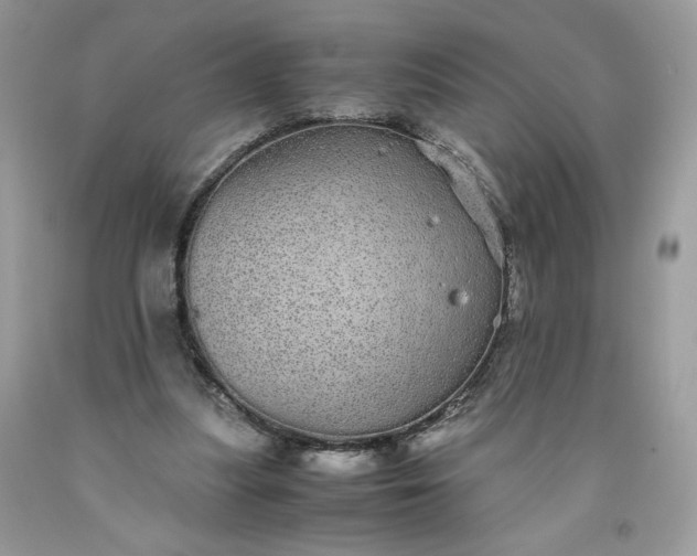 X0000093530251200710261258