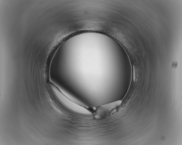 X0000093530252200710261258