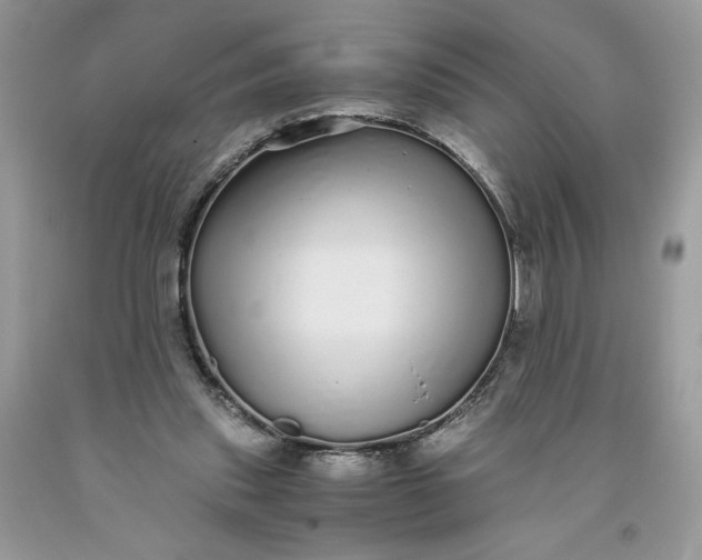 X0000093530253200710261258