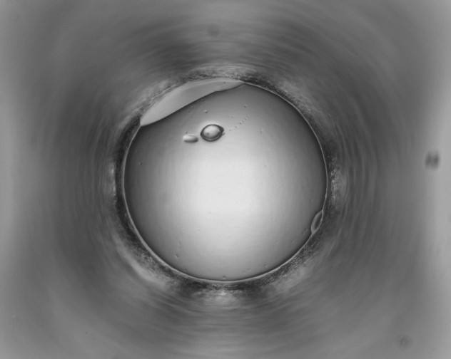 X0000093530254200710261258