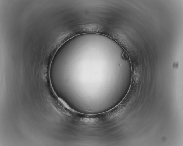 X0000093530255200710261258