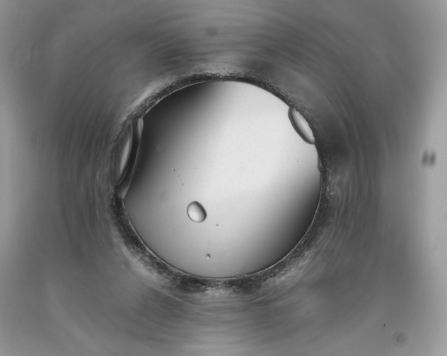 X0000093530256200710261258