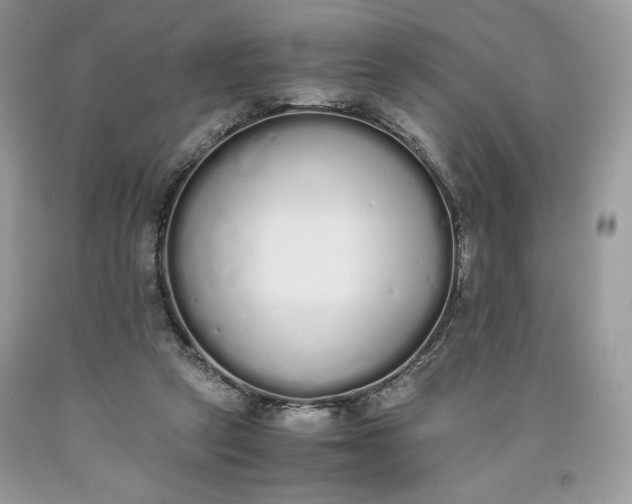 X0000093530257200710261258