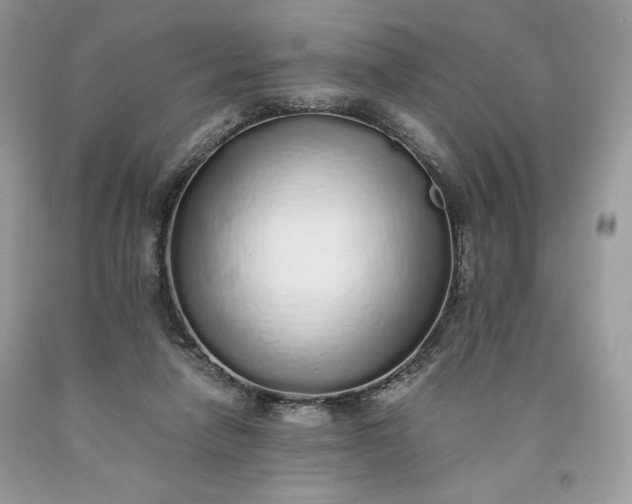 X0000093530258200710261258