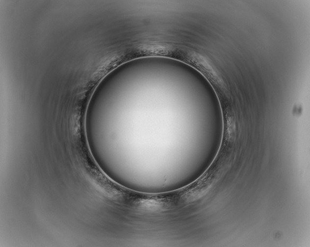 X0000093530259200710261258