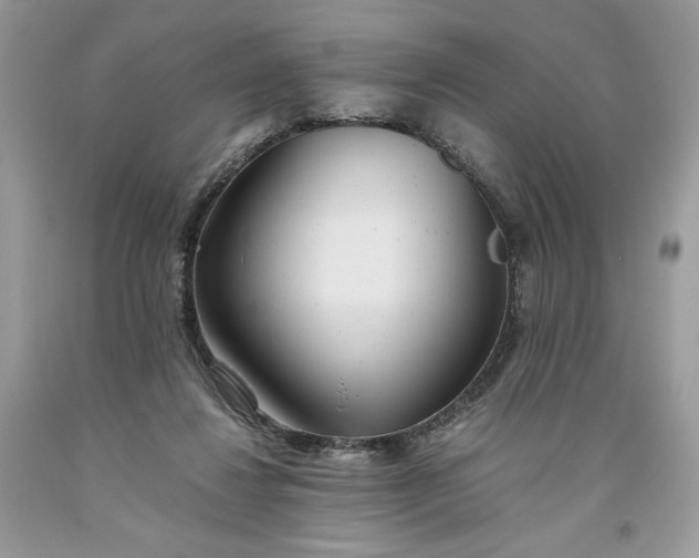 X0000093530260200710261258