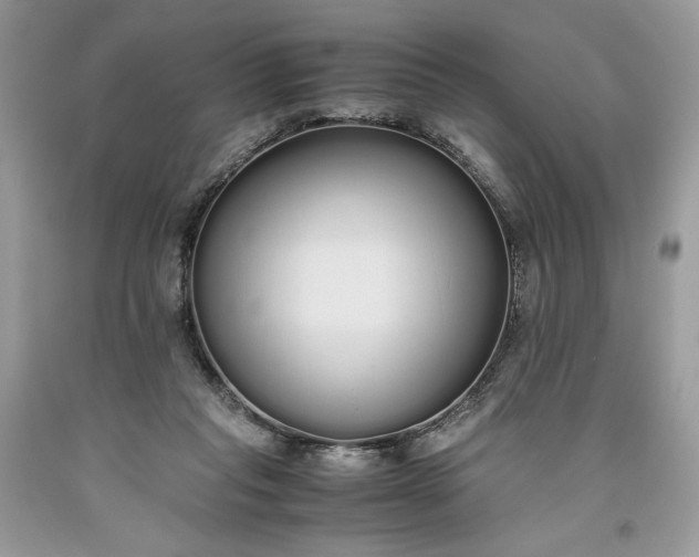 X0000093530261200710261258