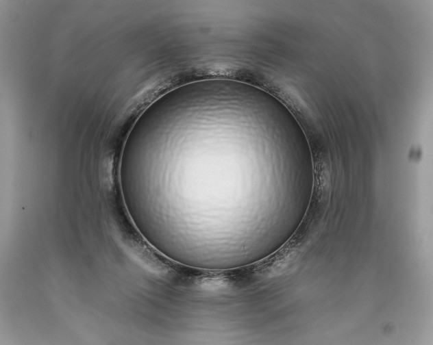 X0000093530262200710261258