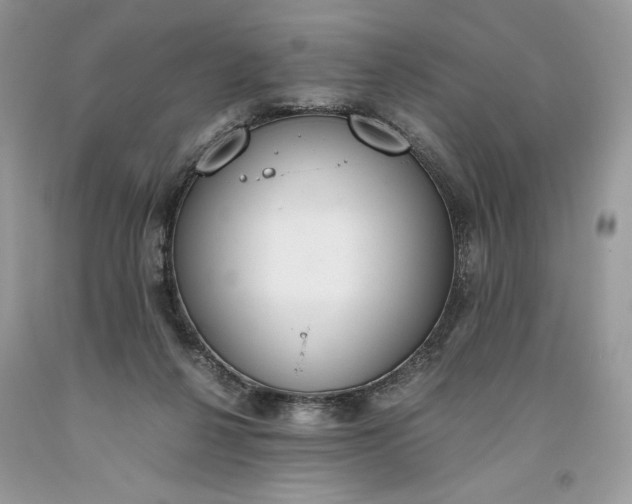 X0000093530264200710261258