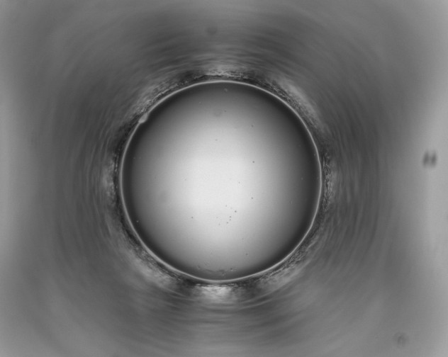 X0000093530265200710261258