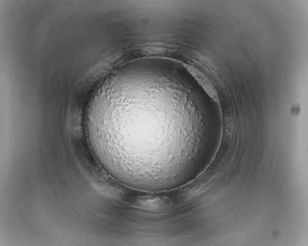 X0000093530267200710261258