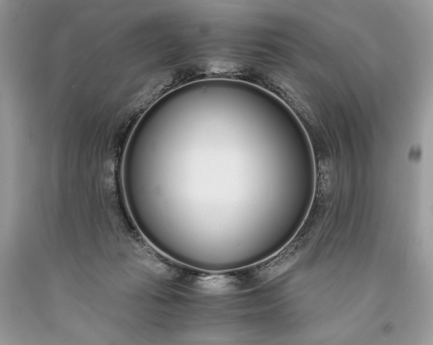 X0000093530269200710261258