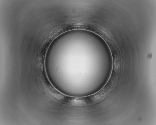 X0000093530270200710261258