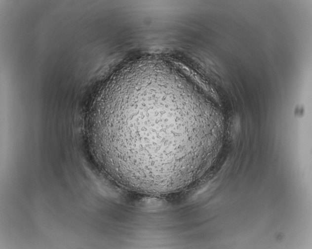 X0000093530272200710261258