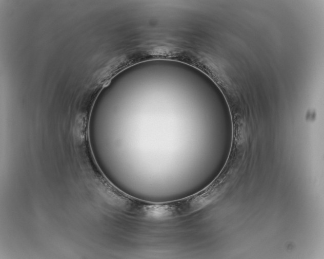 X0000093530273200710261258