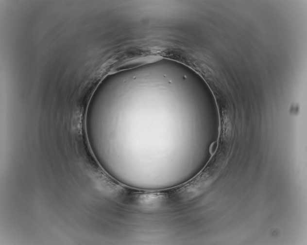 X0000093530274200710261258