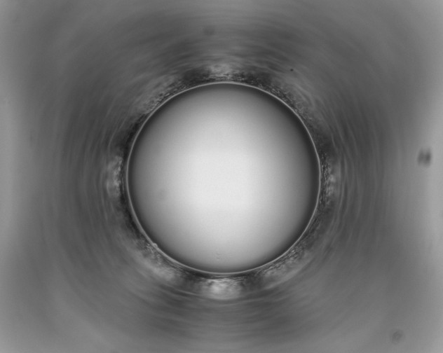 X0000093530275200710261258