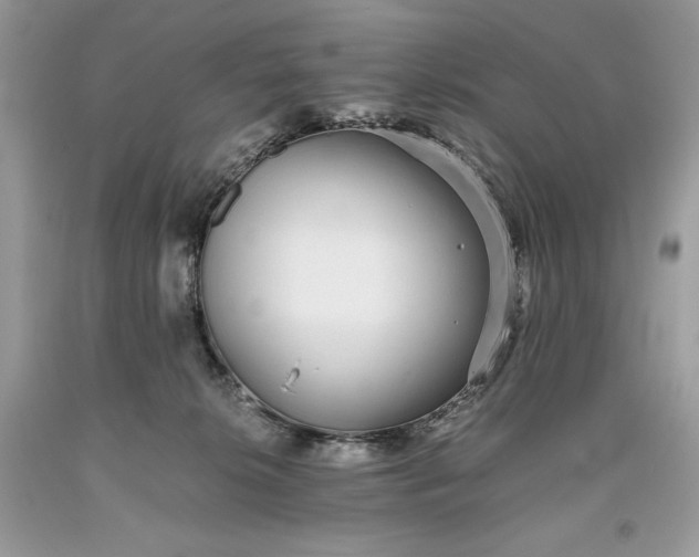 X0000093530276200710261258