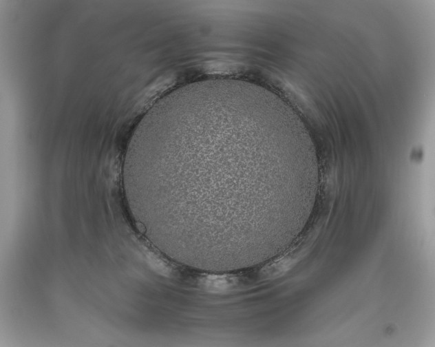 X0000093530277200710261258