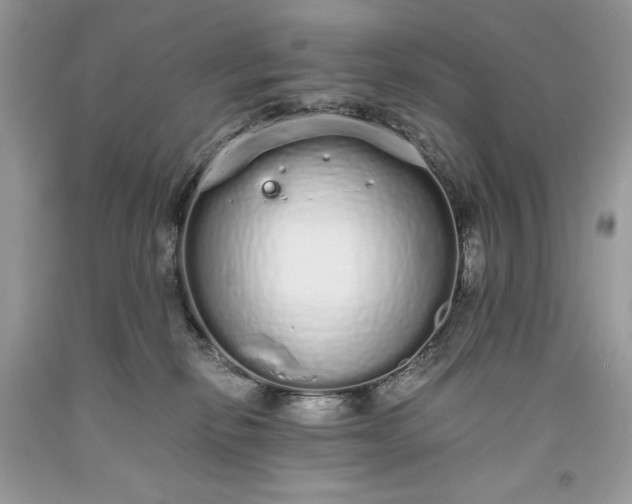 X0000093530278200710261258