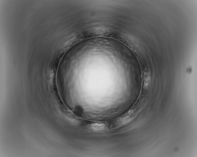 X0000093530279200710261258