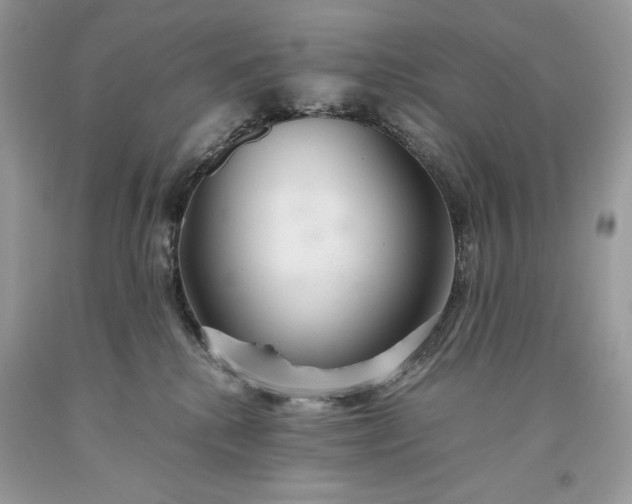 X0000093530280200710261258