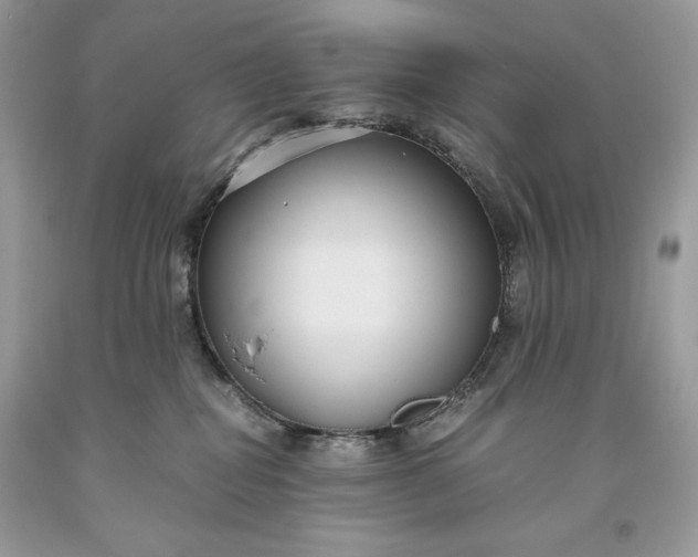 X0000093530282200710261258