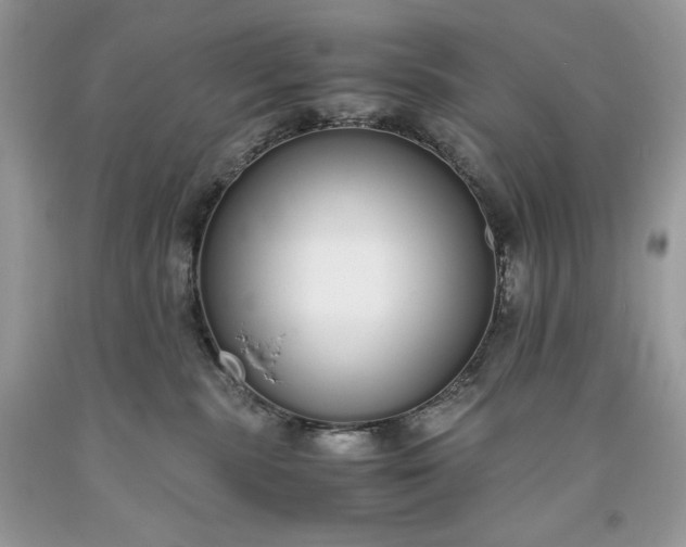 X0000093530283200710261258