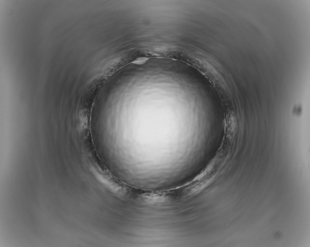 X0000093530284200710261258