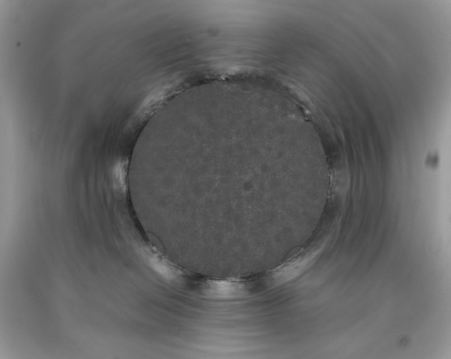 X0000093530286200710261258