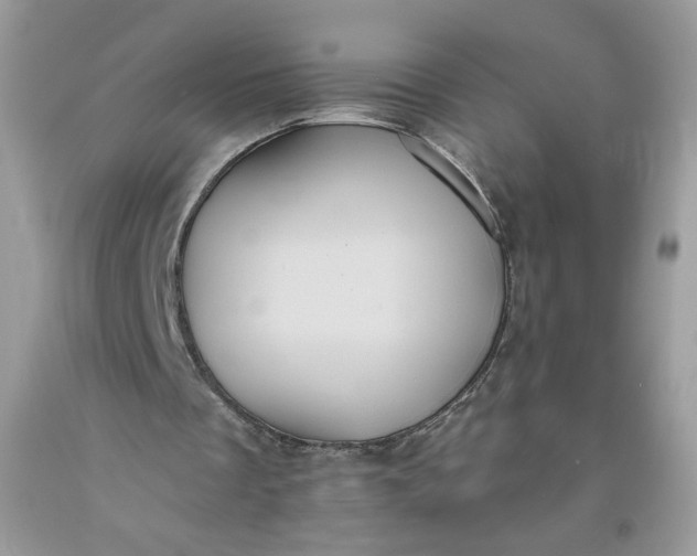 X0000093530289200710261258