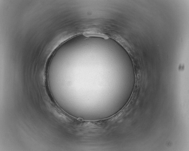 X0000093530290200710261257