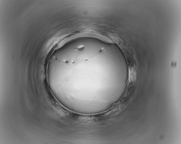 X0000093530291200710261257