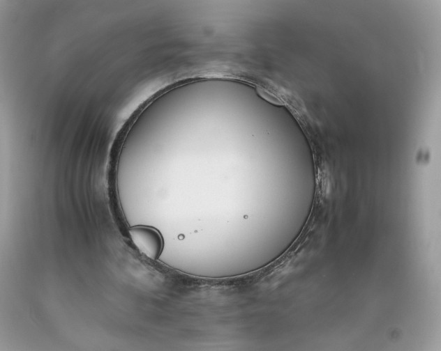 X0000093530292200710261257