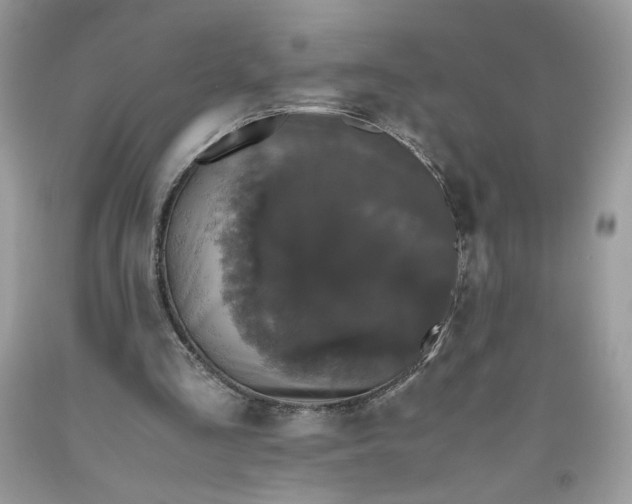 X0000093530293200710261257