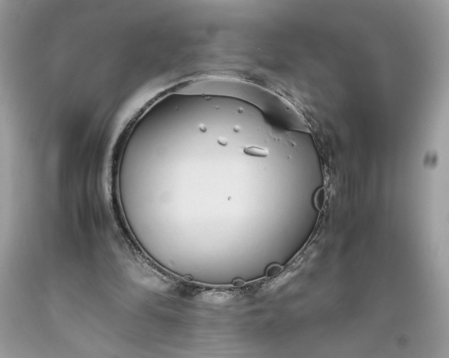 X0000093530294200710261257