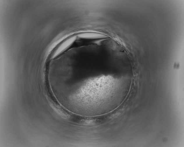 X0000093530295200710261257