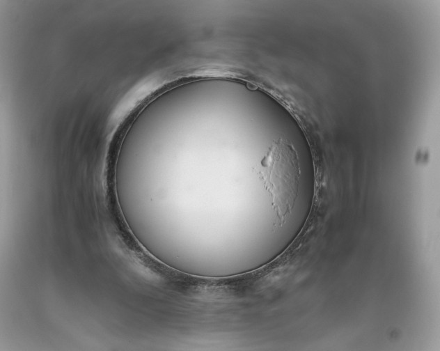 X0000093530296200710261257