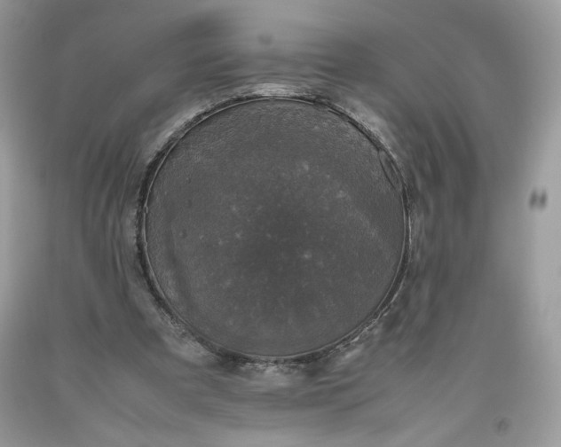 X0000093530297200710261257