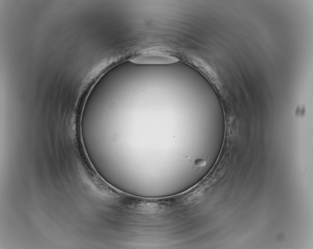 X0000093530298200710261257